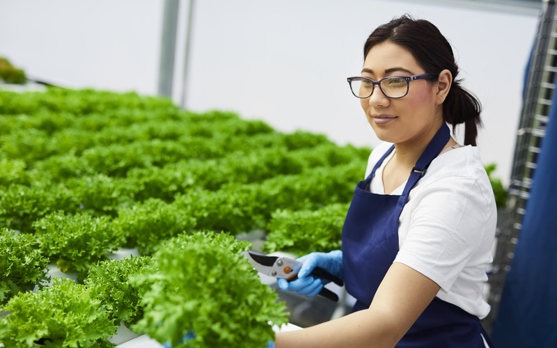 A student at San Andreas High School in California works in the hydroponic growing facility and greenhouse.