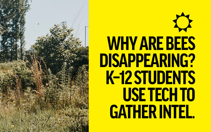 Why are bees disappearing? K–12 students use tech to gather intel.