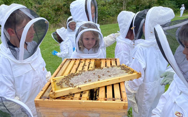 Students in bee suits gather around an open beehive