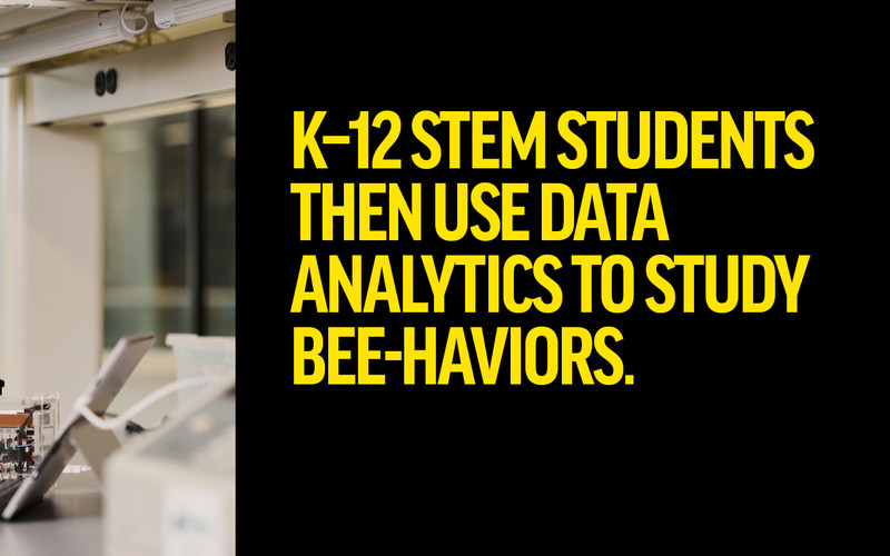 K–12 STEM students then use data analytics to study bee-haviors.