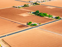 Field Landscape