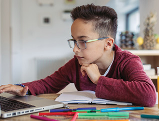 Boy using computer at home