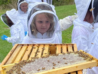 Students in Pennsylvania’s California Area School District study bees