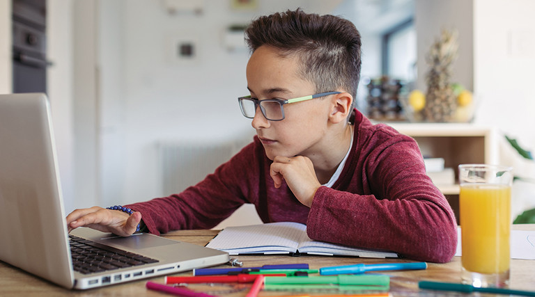 Boy using computer at home