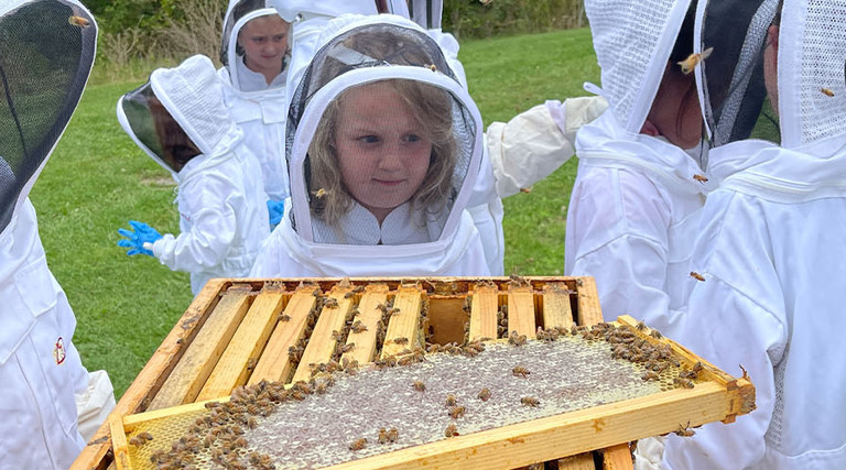 Students in Pennsylvania’s California Area School District study bees