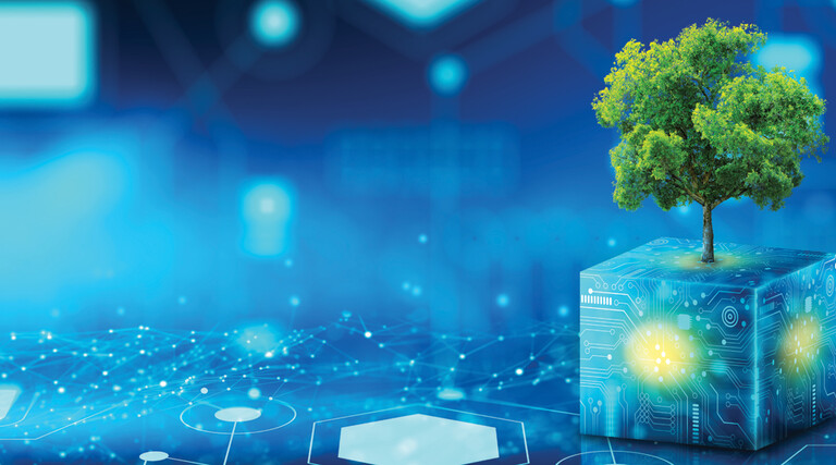 Tree growing on Circuit Digital Cube
