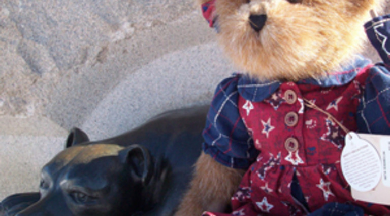Bear Necessity
