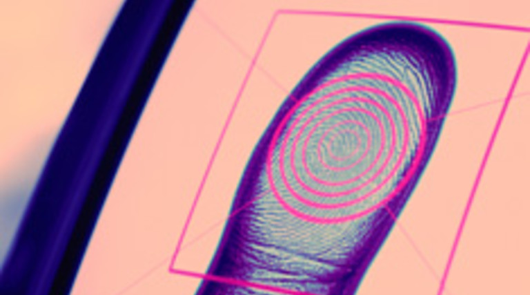 Building a Biometrics Following