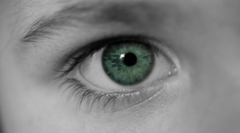  A Vision for the Future of Technology in Schools