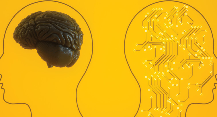 AI concept with two illustrated heads one brain one circuitboard yellow background