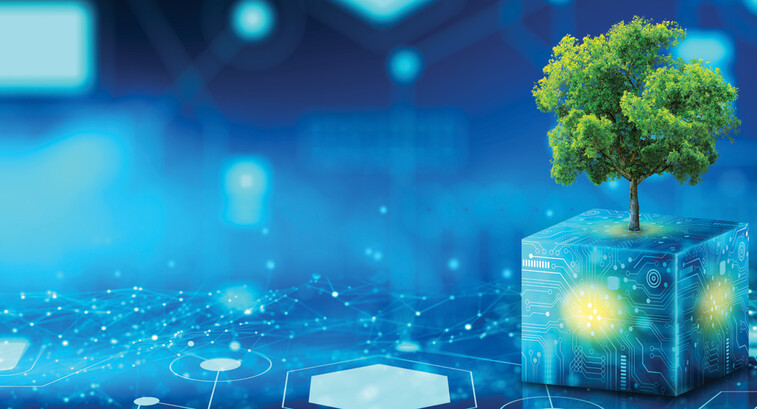 Tree growing on Circuit Digital Cube