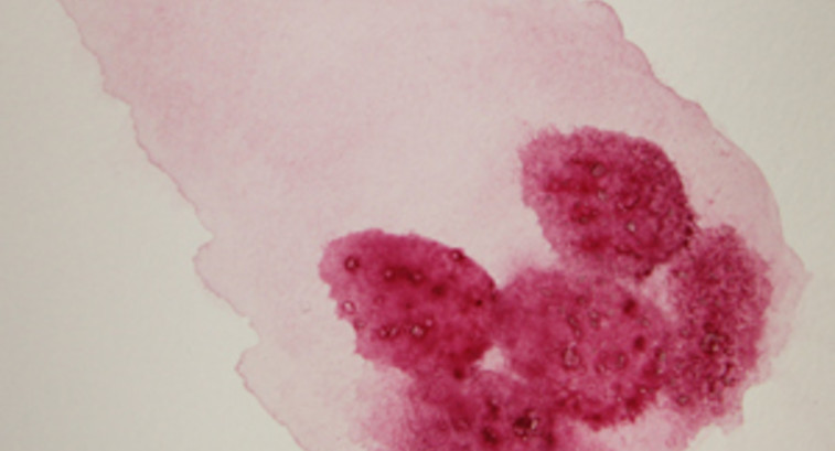 Art and Science Unite In Watercolor Paintings of Cells