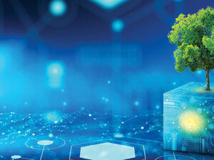 Tree growing on Circuit Digital Cube